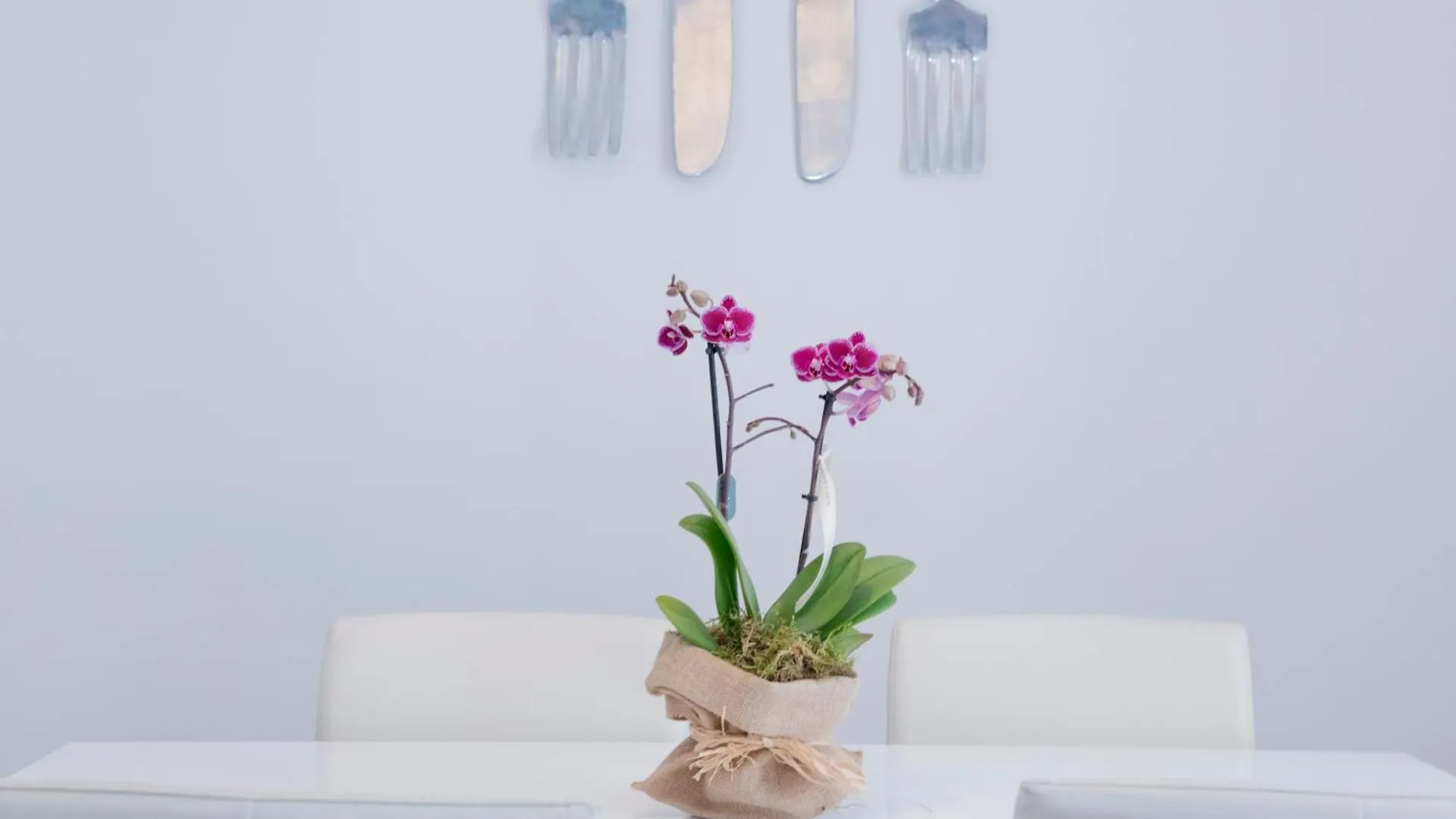 Apartamento Gaudi-Sant Pau Barcellona 0*,  Spagna